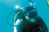 Udupi: Scuba diving instructor is a rowdy sheeter
